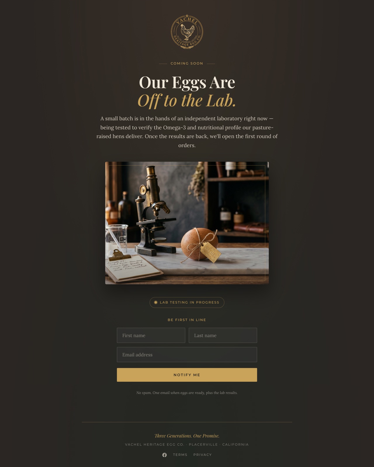 Vachel Heritage Egg Co. website preview